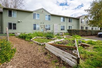 Community garden beds